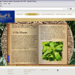 lindt-web-buch_stevia-pflanze
